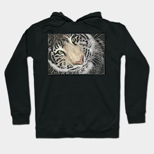 Tiger Tiger Hoodie